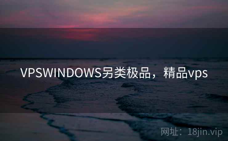 VPSWINDOWS另类极品，精品vps